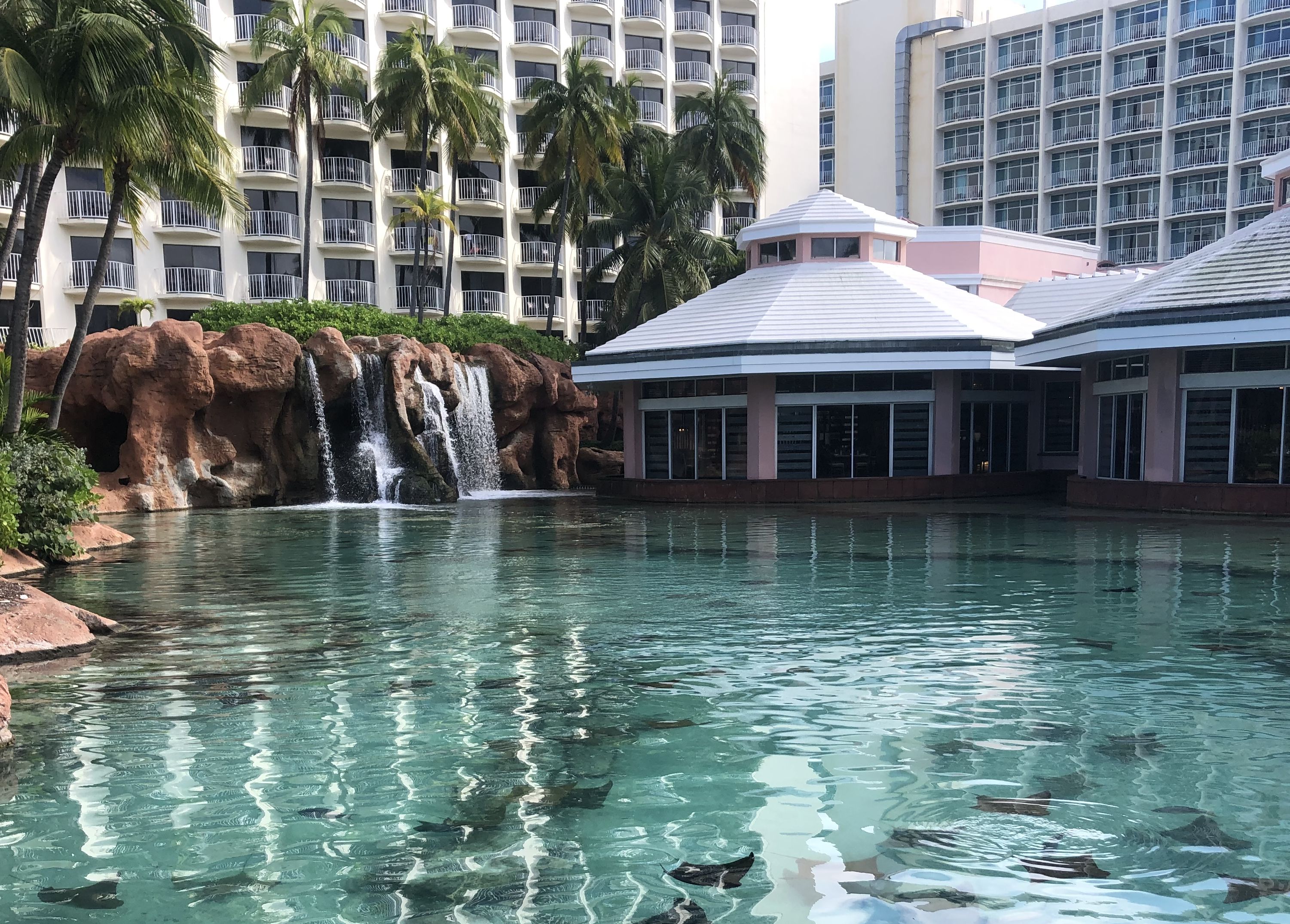 Dining at Atlantis Bahamas